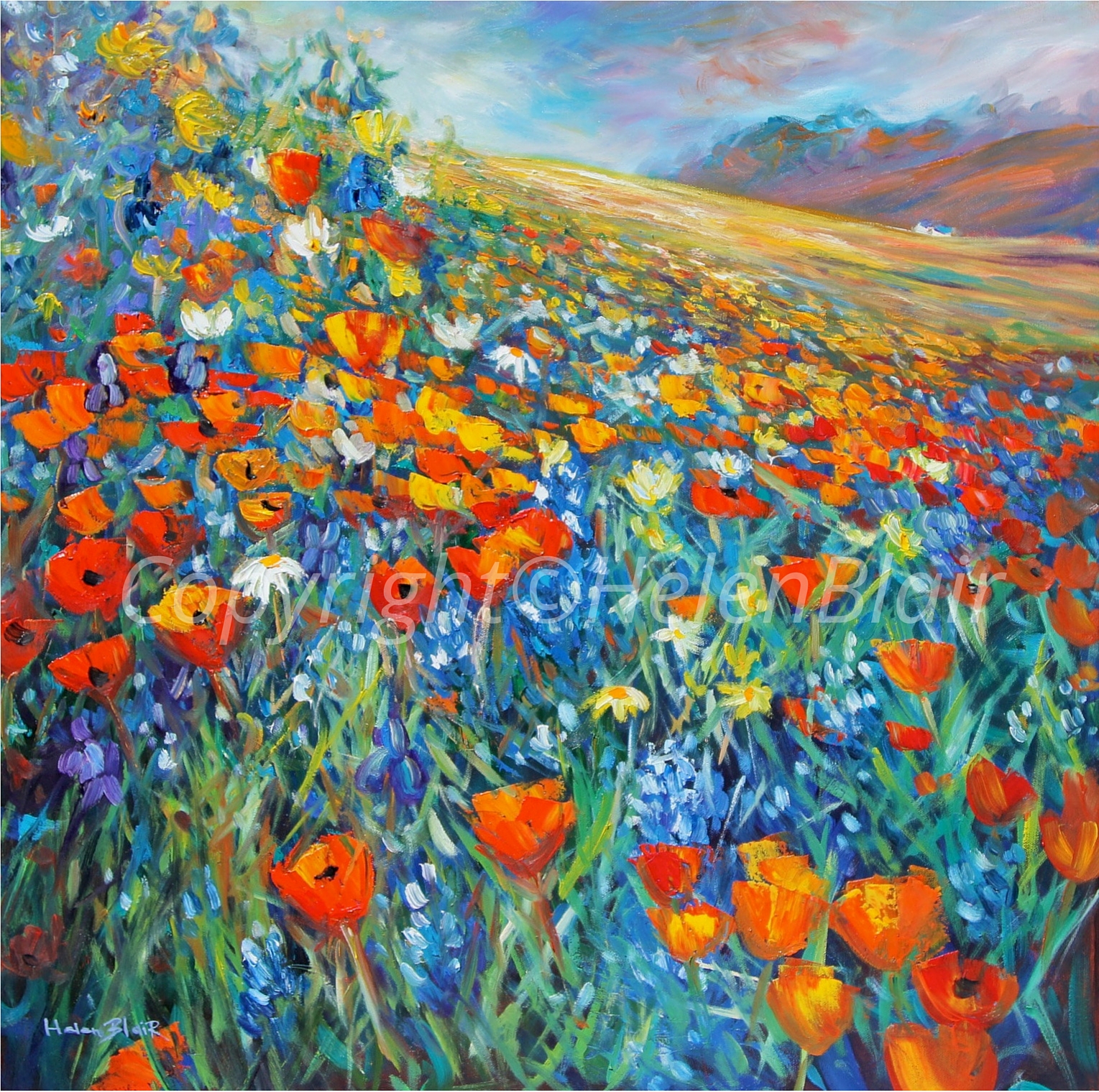 Wild Flowers | Helen Blair's Artwork